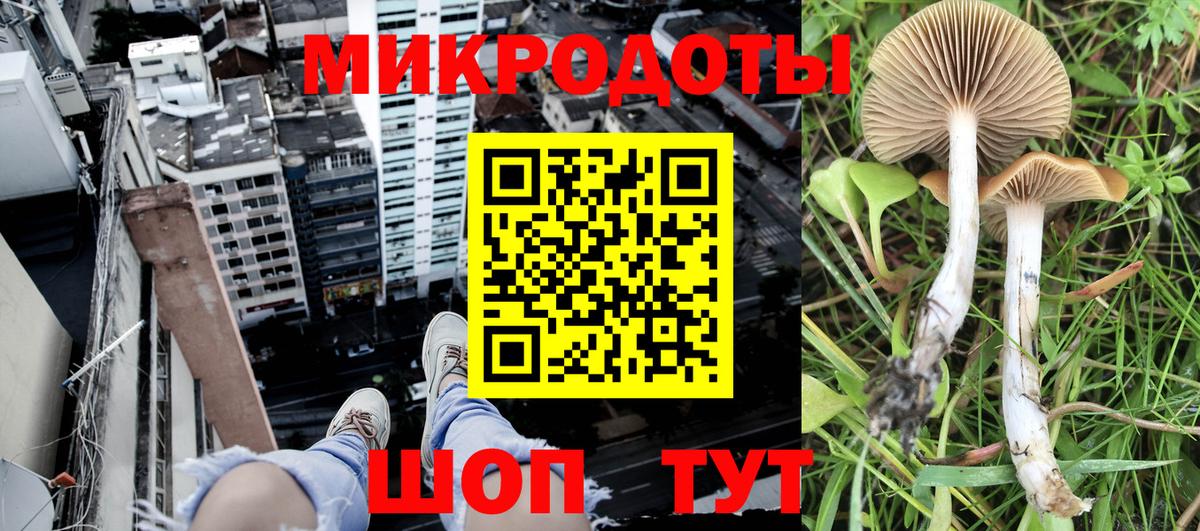 Галлюциногенные грибы прущие грибы Ачхой-Мартан