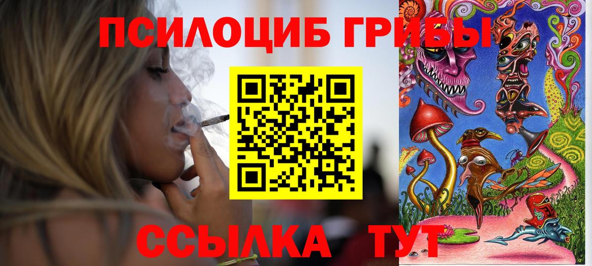 Псилоцибиновые грибы ЛСД  купить   Ачхой-Мартан  Вход с VPN  Галлюциногенные грибы ЛСД 